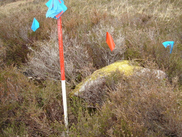 MHG7757_03.JPG