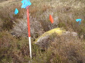 MHG7757_03.JPG