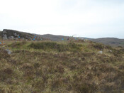 MHG7568_02.JPG