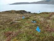 MHG7568_03.JPG