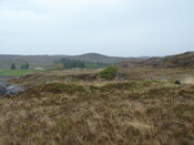 MHG7568_06.JPG