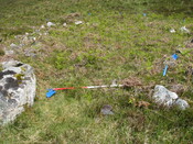 MHG49704_01.JPG