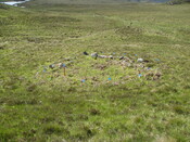 MHG49704_02.JPG