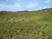 MHG49704_03.JPG