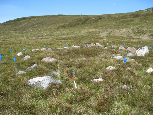 MHG49722_01.JPG