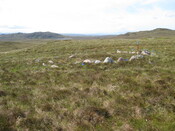 MHG49722_03.JPG