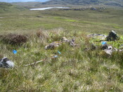 MHG49723_01.JPG