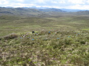 MHG49723_02.JPG