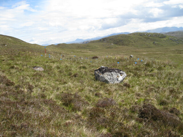 MHG49723_03.JPG