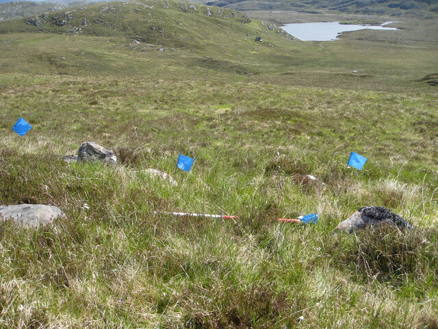 MHG49720_01.JPG