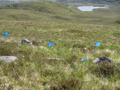 MHG49720_01.JPG