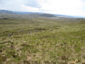 MHG49720_02.JPG