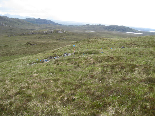 MHG49719_01.JPG