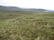 MHG49719_01.JPG