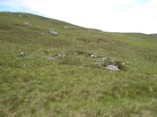 MHG49719_02.JPG