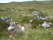 MHG49719_03.JPG