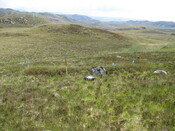 HAB008 IMG_4424 from N gen view .JPG