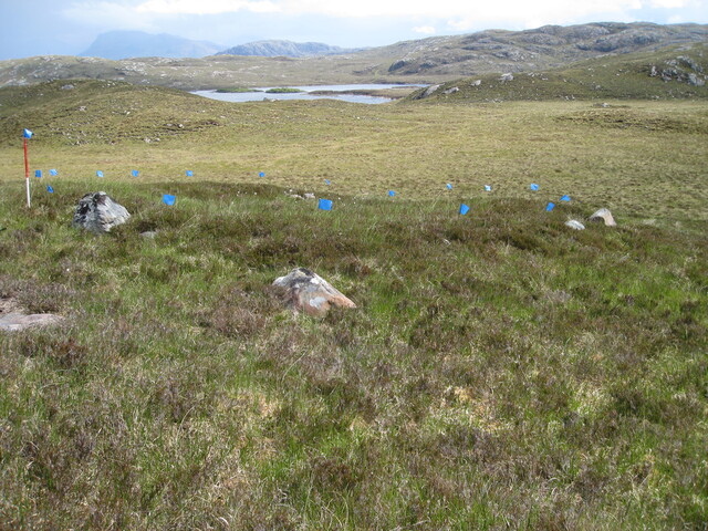 HAB008 IMG_4425 from W gen view .JPG