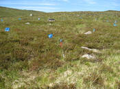 HAB008 IMG_4426 from S showing entrance .JPG