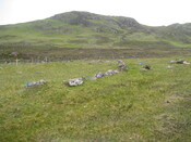 MHG57306_02.JPG