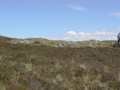 MHG17462_03.jpg