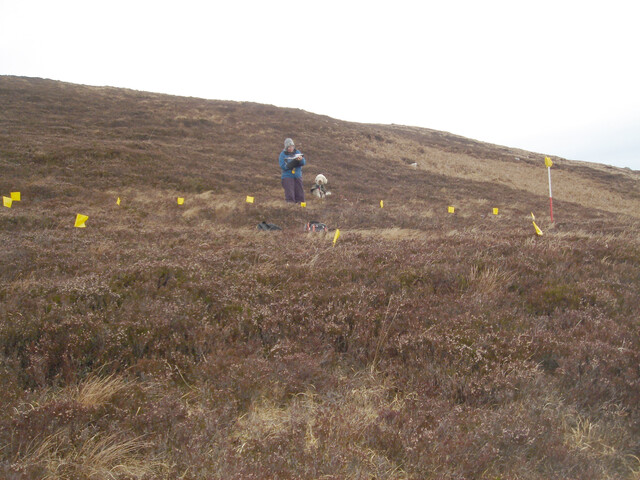 MHG57311_01.JPG