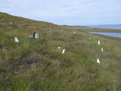 MHG57313_01.JPG