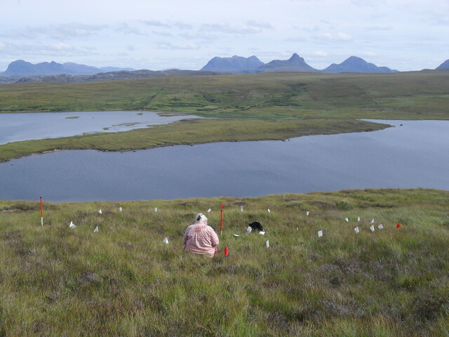 MHG57313_02.JPG