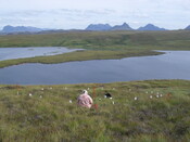 MHG57313_02.JPG
