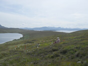 MHG57313_03.JPG