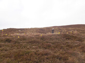 MHG57314_01.JPG