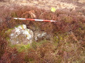 MHG57314_03.JPG