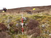 MHG57315_01.JPG