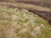 MHG57315_03.JPG