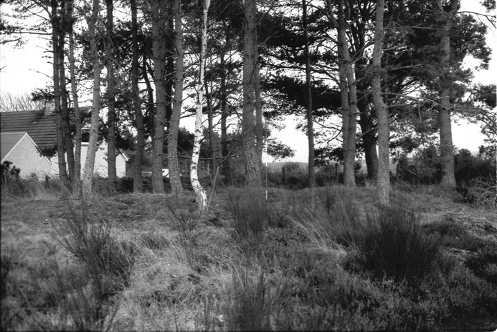 HC_ARCH3_86041_019.jpg