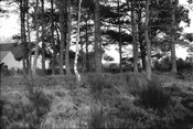 HC_ARCH3_86041_019.jpg