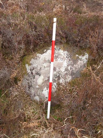 MHG57316_01.JPG