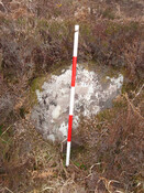 MHG57316_01.JPG