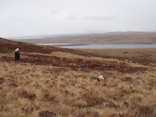 MHG26622_02.JPG