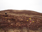 MHG26622_03.JPG