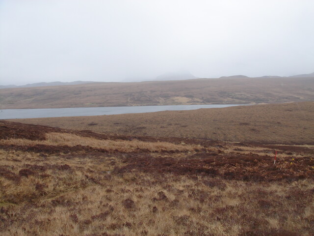 MHG26622_05.JPG