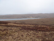 MHG26622_05.JPG