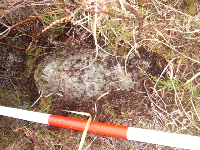 MHG57318_01.JPG