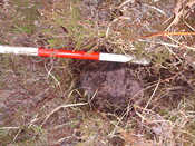 MHG57318_02.JPG