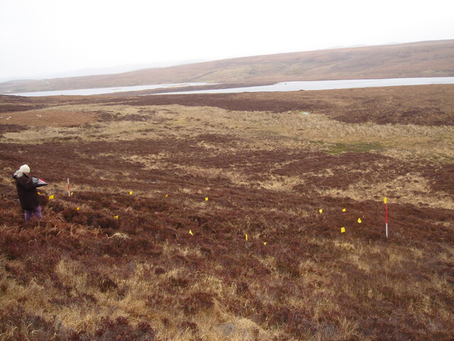 MHG57318_04.JPG