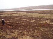 MHG57318_04.JPG