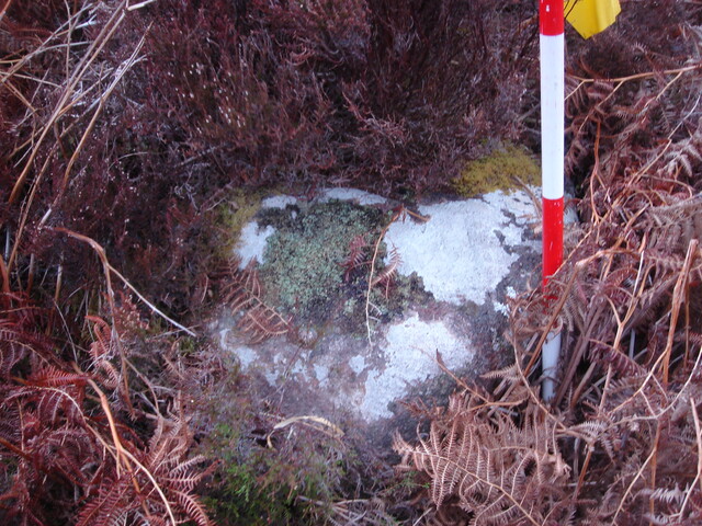 MHG57319_01.JPG