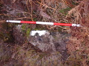 MHG57319_02.JPG