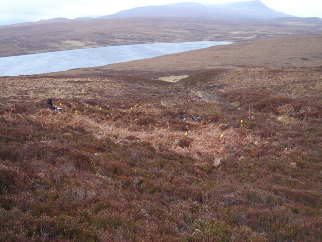 MHG57319_04.JPG