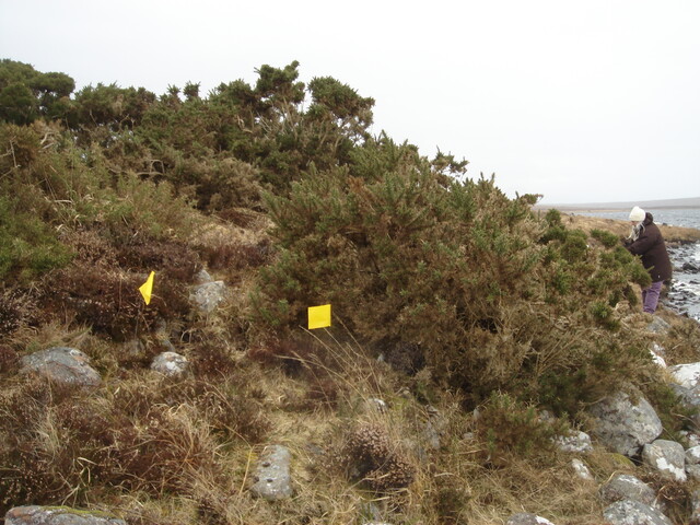 MHG9125_02.JPG
